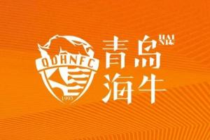 青島海牛5月最佳球員候選：劉軍帥、尼古拉、席爾瓦、馮伯元