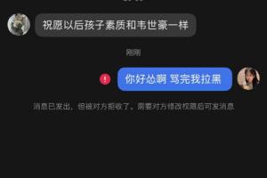 罵完就拉黑！韋世豪妻子曬被私信辱罵截圖