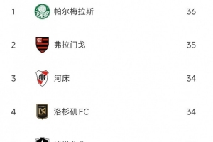 世俱杯球隊(duì)犯規(guī)榜：帕爾梅拉斯、弗拉門戈、河床3支南美隊(duì)排前三