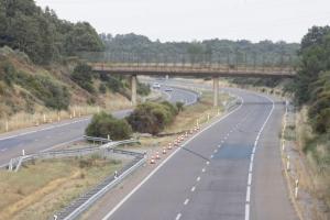 太陽報：若塔車禍地點常有野生動物出沒，這可能是導致事故的原因