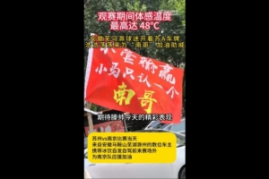 安徽球迷支持南京隊(duì)，網(wǎng)友：蕪馬滁三兄弟永遠(yuǎn)跟著南哥走