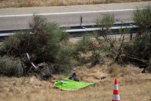 安全第一??若塔車禍公路限速120公里，調(diào)查顯示車速或超140km/h