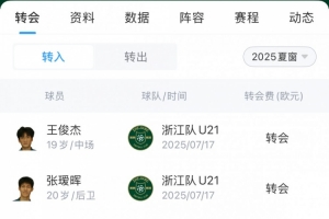 浙江隊(duì)夏窗匯總：200萬歐簽米特里策、租借卡列洛，埃弗拉離隊(duì)