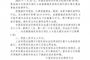 如果成都蓉城晉級足協(xié)杯決賽，德爾加多紀(jì)律處罰停賽將在決賽執(zhí)行