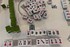 學習國粹！瓦妮莎打起了麻將 這麻將還是外國特供版