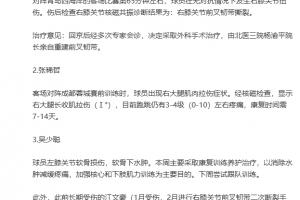 重傷！國安官方：斯帕吉奇右膝前叉韌帶撕裂，將接受前叉韌帶重建